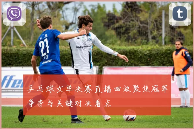 乒乓球女单决赛直播回放聚焦冠军争夺与关键对决看点
