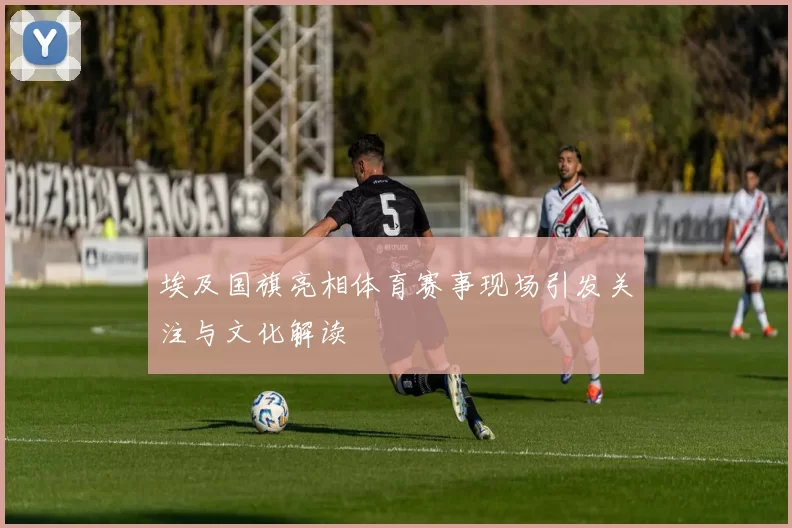 埃及国旗亮相体育赛事现场引发关注与文化解读