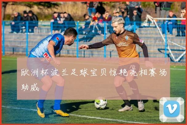 欧洲杯波兰足球宝贝惊艳亮相赛场助威