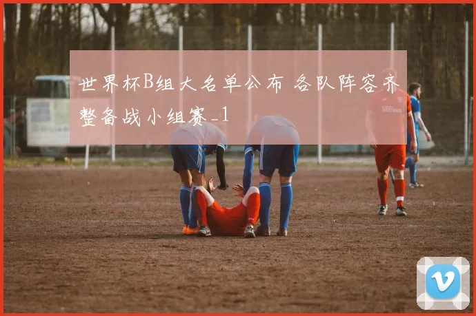 世界杯B组大名单公布 各队阵容齐整备战小组赛_1