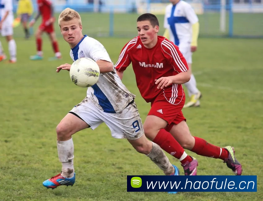 多媒体互动体验